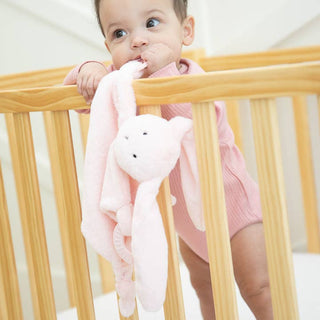 Bella Tunno Teether Buddy Betty the Bunny