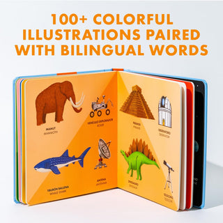 My Big Bilingual Book of First Words: 100+ English-Spanish Words Board Book