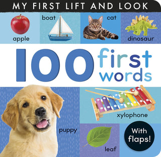 100 First Words: My First Lift and Look (with Flaps) Board Book