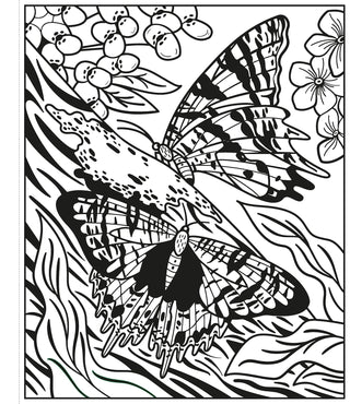 Butterflies Magic Painting Activity Book