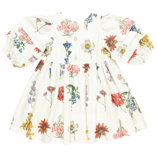 Pink Chicken Girls Brooke Dress - Notebook Botanical, Pink Chicken, Big Girls Clothing, Brooke Dress, cf-size-2y, cf-size-3y, cf-size-4y, cf-size-5y, cf-size-6y, cf-size-7y, cf-size-8y, cf-ty