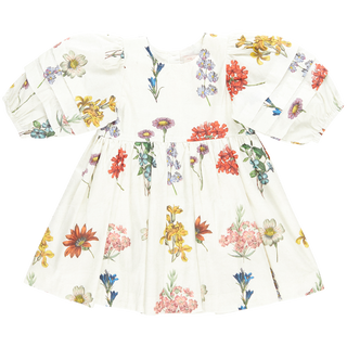 Pink Chicken Girls Brooke Dress - Notebook Botanical, Pink Chicken, Big Girls Clothing, Brooke Dress, cf-size-2y, cf-size-3y, cf-size-4y, cf-size-5y, cf-size-6y, cf-size-7y, cf-size-8y, cf-ty