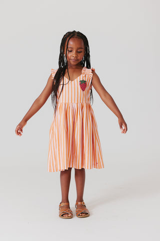 Pink Chicken Girls Via Dress - Orange Pink Stripe