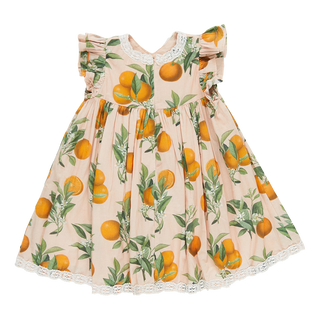 Pink Chicken Girls Katherine Dress - Pink Botanical Oranges