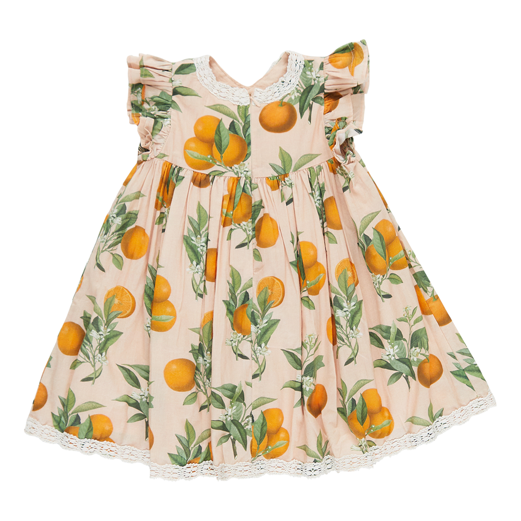 Pink Chicken Girls Katherine Dress - Pink Botanical Oranges | Basically ...