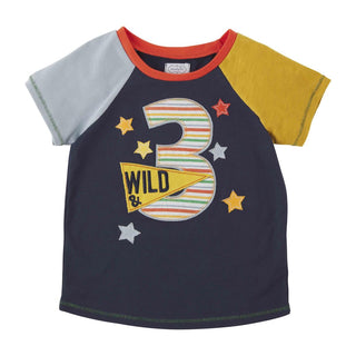 Mud Pie Birthday Boy Shirt - Wild & 3, Mud Pie, 3rd Birthday, Birthday, Birthday Boy, Birthday Boy Shirt, Birthday Shirt, Boys Shirt, cf-size-3t, cf-type-short-sleeve-tee, cf-vendor-mud-pie, 