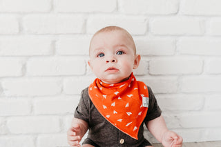 Copper Pearl Ace Bandana Bib Set, Copper Pearl, Airplane, Baby Shower, Baby Shower Gift, Bandana Bib Set, Bandana Bibs, Bandanna Bibs, Copper Pearl, Copper Pearl Ace, Copper Pearl Bandanna Bi