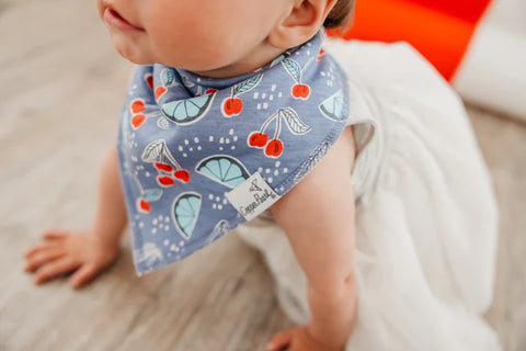 Holiday baby best sale bib sets