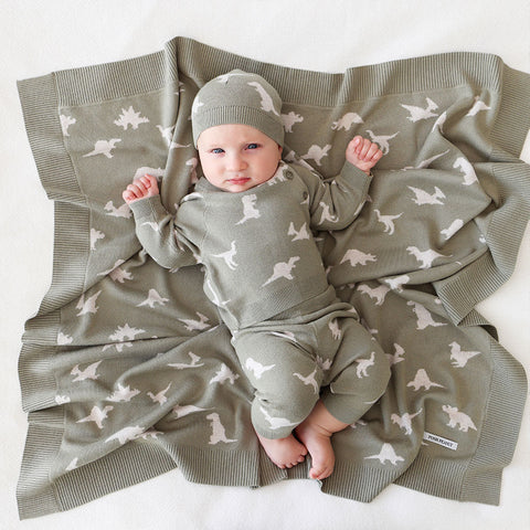 Posh baby online blankets