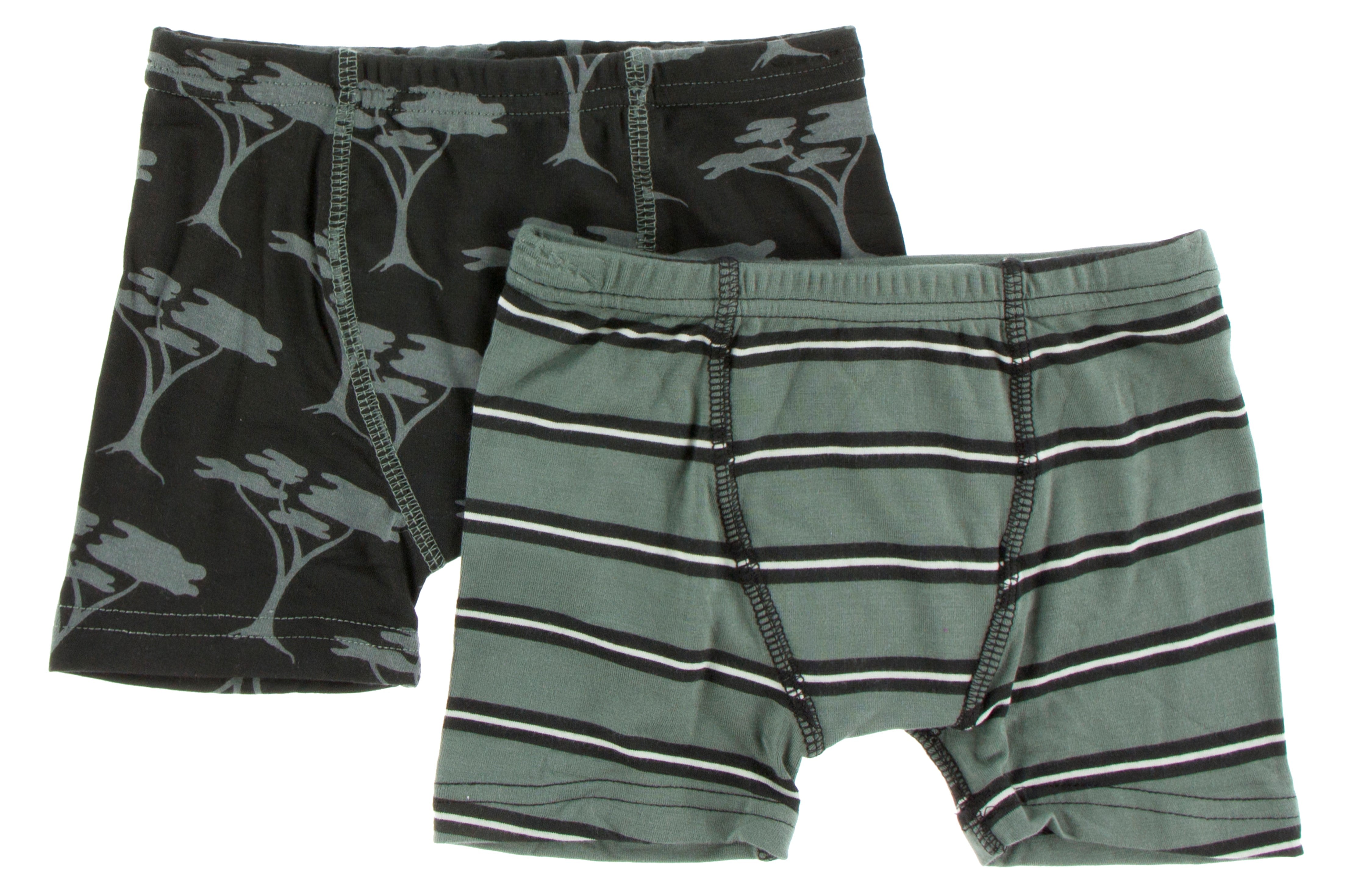 Kickee Pants, Boxer Briefs (Set of 2) in Succulent Kenya Stripe & Zebra  Acacia Trees