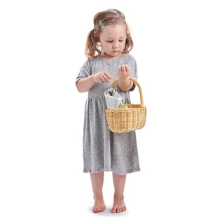 Tender Leaf Toys Wicker Shopping Basket, Tender Leaf Toys, cf-type-toys, cf-vendor-tender-leaf-toys, Classic Wooden Toy, Play Kitchen, Tender Leaf, Tender Leaf Toy, Tender Leaf Toys, Tenderle