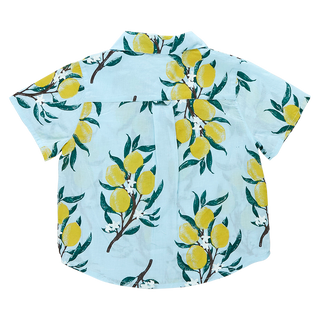 Blue Rooster Boys Jack Shirt - Lemon Branch, Pink Chicken, Blue Rooster, cf-size-8y, cf-type-swimsuit, cf-vendor-pink-chicken, Lemon Branch, Pink Chicken, Pink Chicken Boys Jack Shirt, Pink C