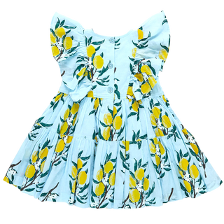 Pink Chicken Girls Raphaela Dress - Lemon Branch, Pink Chicken, Big Girls Clothing, cf-size-5y, cf-type-dress, cf-vendor-pink-chicken, Dress, Dress for Girls, Dresses for Girls, Lemon Branch,