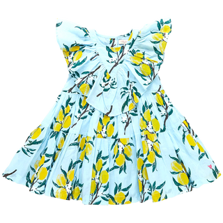 Pink Chicken Girls Raphaela Dress - Lemon Branch, Pink Chicken, Big Girls Clothing, cf-size-5y, cf-type-dress, cf-vendor-pink-chicken, Dress, Dress for Girls, Dresses for Girls, Lemon Branch,