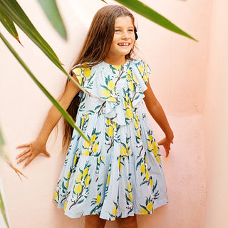 Pink Chicken Girls Raphaela Dress - Lemon Branch, Pink Chicken, Big Girls Clothing, cf-size-5y, cf-type-dress, cf-vendor-pink-chicken, Dress, Dress for Girls, Dresses for Girls, Lemon Branch,